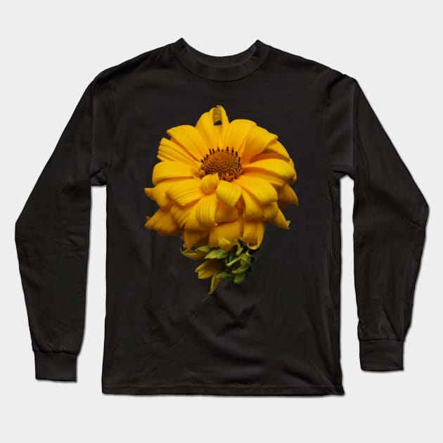 False Sunflower Long Sleeve T-Shirt by Art by Caron